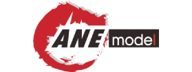 ANE Model