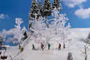 PREORDER Faller Gmbh 181562 Snow-Covered Trees -- 4-3/8"  11cm Tall pkg(5)