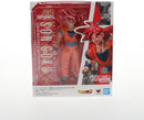 Bandai 2503080 SUPER SAIYAN GOD SON GOKU