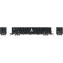 PREORDER Athearn Genesis ATHG78602 HO NSC 6000 Gondola w/Load, AIMX