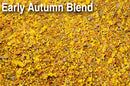 Scenic Express 870E EARLY AUTUMN BLEND 48OZ