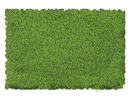 Scenic Express EX810E Flock and Turf Ground Cover, Spring Green Fine 48 oz. ECO Pack