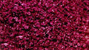 Scenic Express SE6364 Plum Purple SuperLeaf, 1 Gallon SuperPack (d)