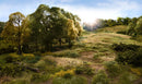 Woodland Scenics FS624 Static Grass Straw 7mm