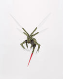 Kotobukiya HG105 Alternative Messer Float 1:24