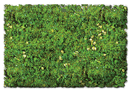 Scenic Express EX884B Flock & Turf, Scenic Foams & Ground Textures, Blended Tones, 32 Ounces, Alpine Meadow Blend