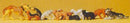 Preiser HO 14165 Assorted Cats and Dogs (12)