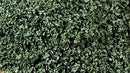 Scenic Express SE6152 SuperLeaf Scale Model Leaf Flake, Shaker, 16oz 454g, Olive Green