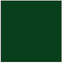 True-Color Railroad Paint 78 REA GREEN 1oz