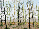 Bachmann 32509 WOOD'S EDGE TREES - BARE (14 PER PACK), All Scales