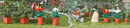 Busch Gmbh & Co Kg 1235 Christmas Flower Set, HO Scale