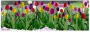 JTT Trees & Shrubs 95554 Tulips 1/2" 36/pk, HO
