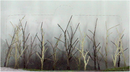 JTT Trees & Shrubs 95628 Bare Woods Edge Trees, N Scale