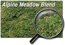 Scenic Express EX884E ALPINE MEADOW BLEND- 48 OZ. ECO PAK