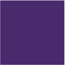 True-Color Railroad Paint TCP-843 FLAT UNION PACIFIC HARBOR MIST GRAY, 1oz