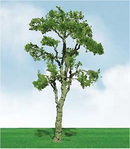 JTT Trees & Shrubs 92311 GUM 3.5'-4', HO 2pk