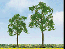 JTT Scenery Products 94425 Professional Series Ash Trees (2)