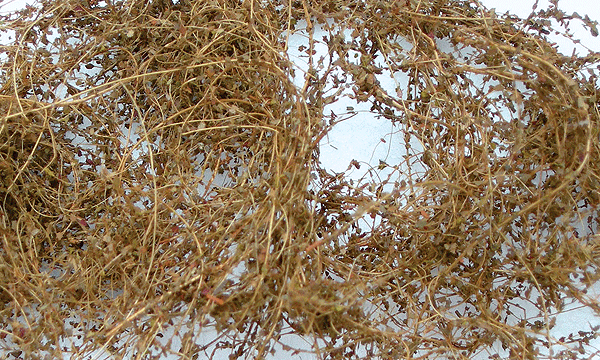 JTT Scenery Products HO 95063 Dry Vines Dead Foliage (10g)