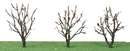 JTT Scenery Products 92221 Tree with Dry Foliage Late Fall (3)