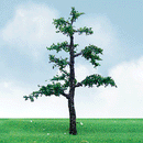 JTT Scenery Products 92313 Pro-Elite Series Tree Old Pine 3-1/2 to 4" (2)