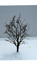 JTT Scenery Products 92322 Tree with Dry Foliage Late Fall (2)