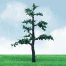 JTT Scenery Products 92413 Old Pine Trees Pro Elite