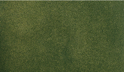 Woodland Scenics RG5122 ReadyGrass Vinyl Mat, 50 x 100" 125 x 250cm, Green Grass