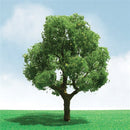 JTT Scenery Products 92301 Pro-Elite Series Deciduous Trees, 3" to 3.5" (2)