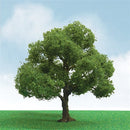 JTT Scenery Products 92304 Pro-Elite Series Elder Trees, 3" to 3.5" (2)
