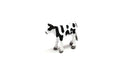 All Scale Miniatures 870978 Calves(5-pack)