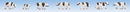 Noch Z 44250 Cows, Black, White (7)