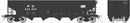 PREORDER Rapido HO 1137010 H5 Hopp PC-Black 6/