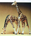 Preiser HO 628 Animals, Giraffes (2)