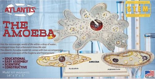 Atlantis Models 3800 Amoeba Single Cell Model Kit STEM