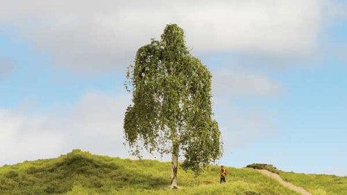 Noch 20120 Silver Birch Tree Master