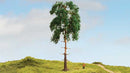 Noch 20141 Pine Tree Master