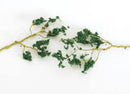 Bachmann 32646 Wire Foliage Branches, Dark Green (60)