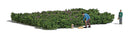 Busch HO 7956 Picking Forest Blueberries, Action Set, 2 Figures, 2-3/4 x 2-1/4" 8 x 7cm Blueberry Patch, Collection Baskets