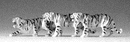 Preiser HO 623 Animals, Tigers (black, white) (3)