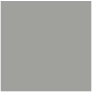 Tru-Color Paint 080 IMITATION ALUMINUM 1OZ