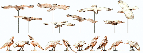 Preiser 63335 Unpainted Assorted Birds