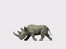 Preiser HO 29522 African Rhinoceros