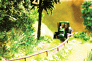 Noch N 14100 Ferns (9)