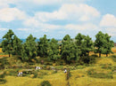 Noch HO 24602 Deciduous Trees (6)