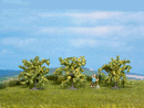 Noch 25115 Lemon Trees (3)