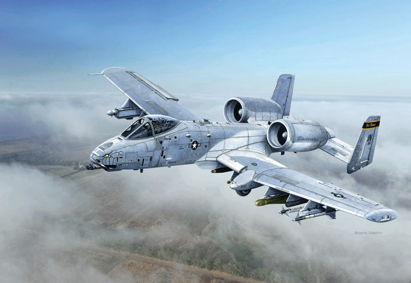 Italeri 2725 - SCALE 1 : 48 A - 10C ''Blacksnakes''