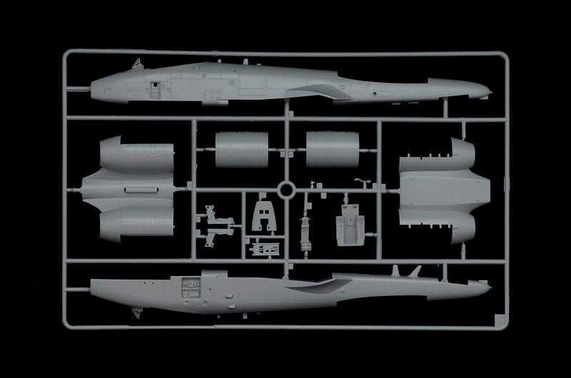 Italeri 2725 - SCALE 1 : 48 A - 10C ''Blacksnakes''