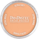 PanPastel 8027407-1 Panpastel Color Powder, Burnt Sienna Light