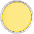 PanPastel 8022305-1 Panpastel Color Powder, Primary Yellow