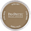 PanPastel 8027807-1 Panpastel Color Powder, Raw Umber Light